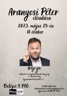 Aranyosi Péter előadása